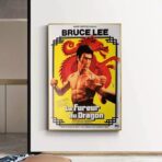 poster the fury of the dragon
