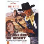poster the prisoner of the desert
