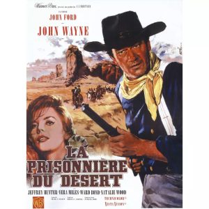 poster the prisoner of the desert