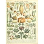 old vegetable poster
