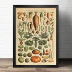 vintage vegetable poster