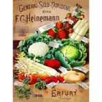 vintage vegetable poster 1