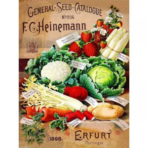 vintage vegetable poster 1