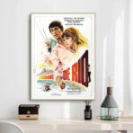 poster the man from rio
