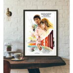 poster the man from rio