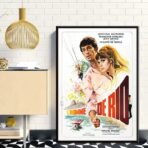 poster the man from rio