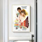 poster the man from rio