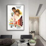 poster the man from rio