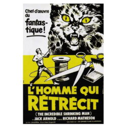 poster the man who shrinks