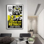 poster the man who shrinks