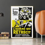 poster the man who shrinks