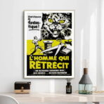 poster the man who shrinks