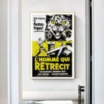poster the man who shrinks