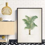vintage palm poster