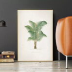 vintage palm poster