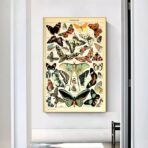 vintage butterfly poster