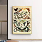 vintage butterfly poster