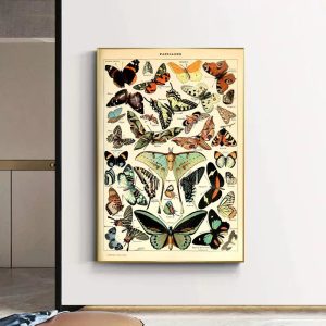 vintage butterfly poster