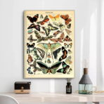 vintage butterfly poster