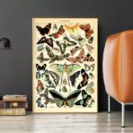 vintage butterfly poster