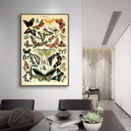 vintage butterfly poster