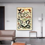 vintage butterfly poster