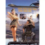pin up aviation poster