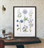 vintage plant poster 1