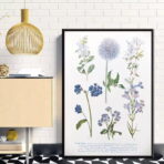 vintage plant poster 1