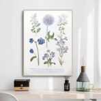vintage plant poster 1