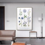 vintage plant poster 1