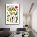 vintage plant poster