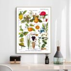 vintage plant poster