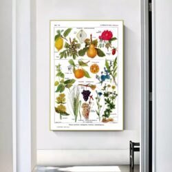 vintage plant poster