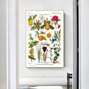 vintage plant poster
