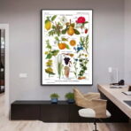 vintage plant poster