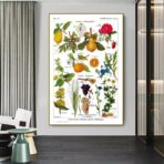 vintage plant poster
