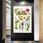 vintage plant poster