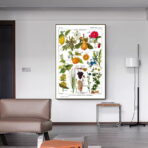 vintage plant poster