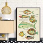 vintage fish poster 1