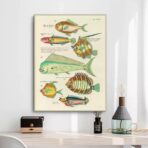 vintage fish poster 1