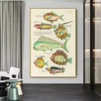 vintage fish poster 1