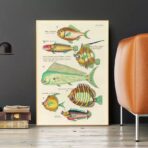 vintage fish poster 1