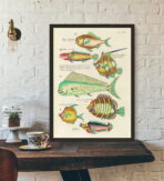 vintage fish poster 1