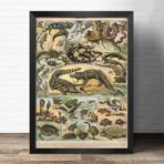 old reptiles poster