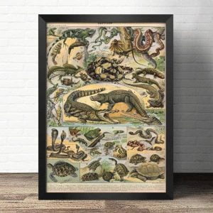 old reptiles poster