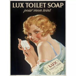 vintage toilet poster 1