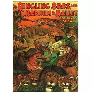 vintage animal poster