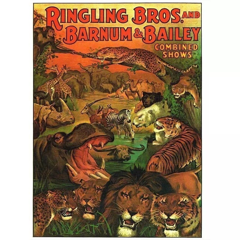 vintage animal poster vintage animal poster