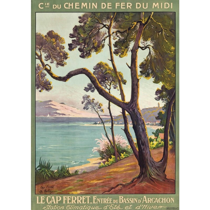 vintage poster cap ferret vintage poster cap ferret